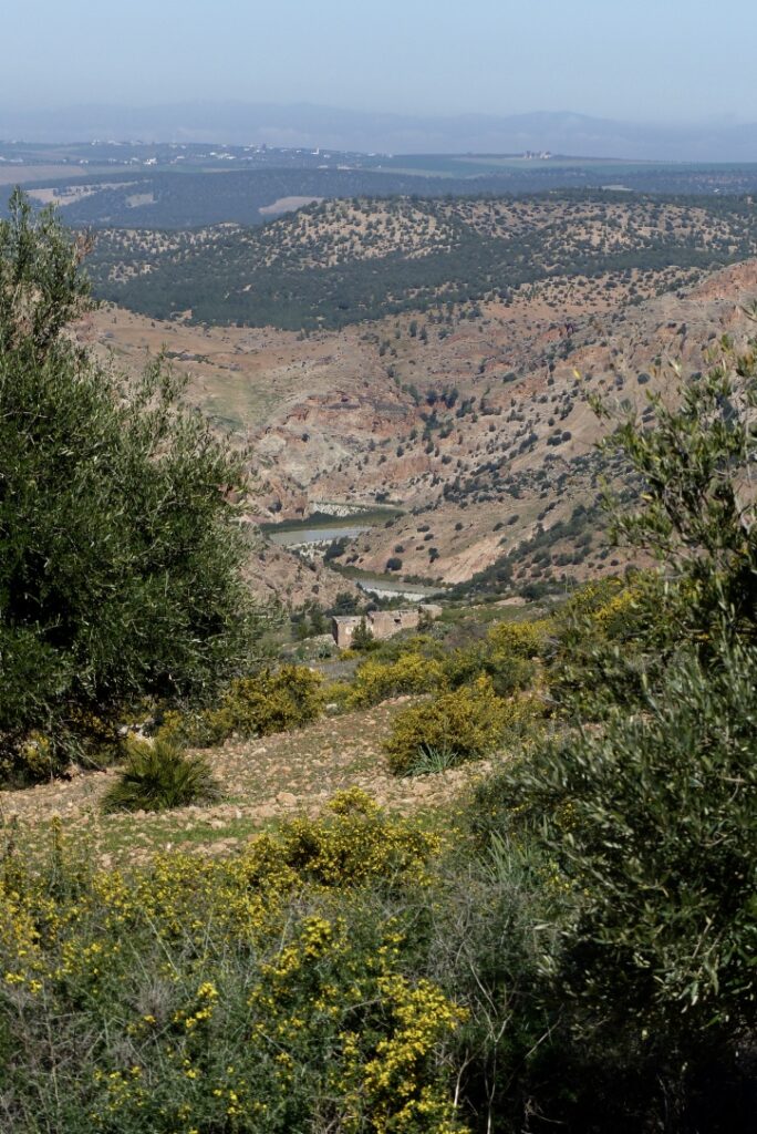 Vallée du Sebou Maroc